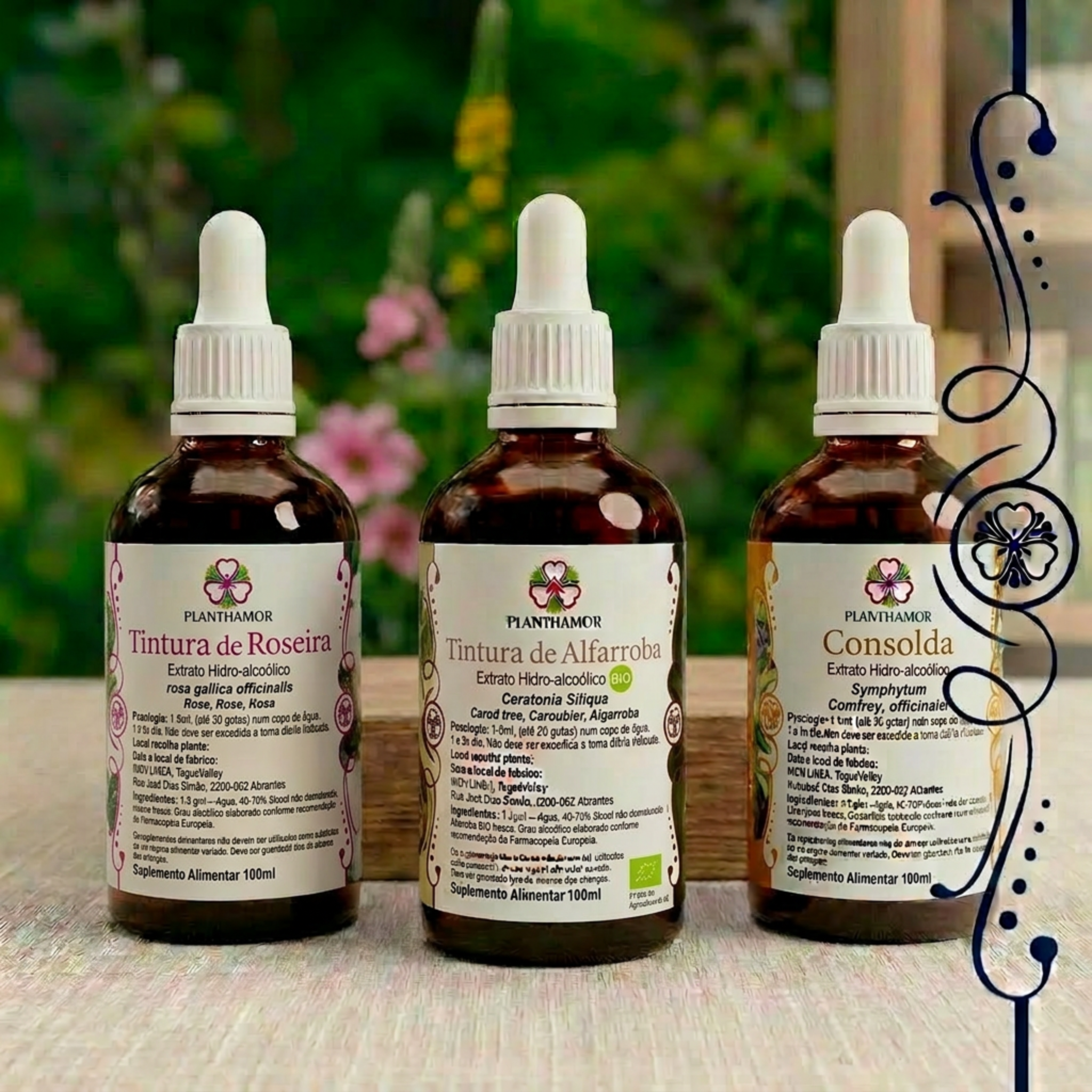 Pack Terra 100ml/Frasco
