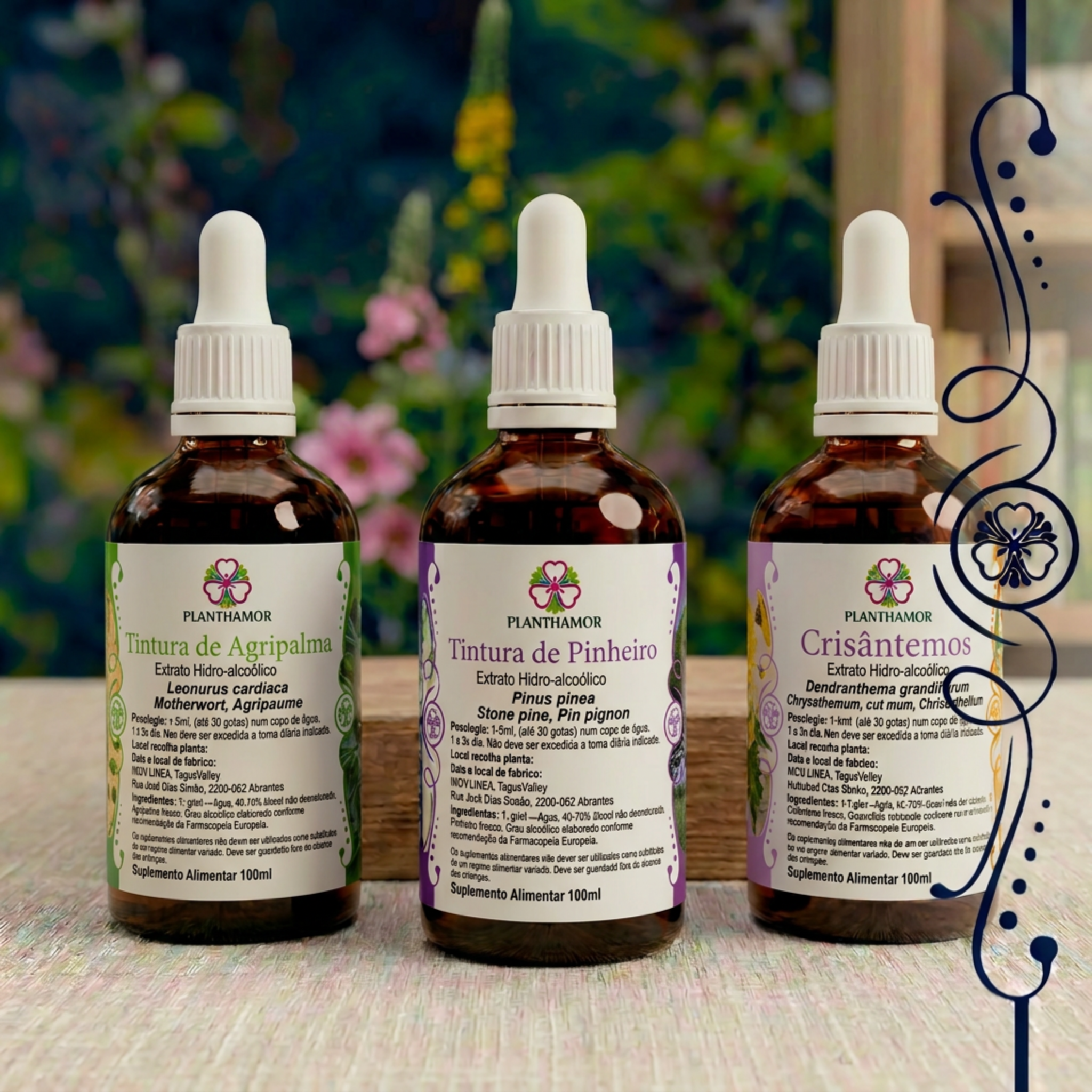 Pack Água 100ml/Frasco