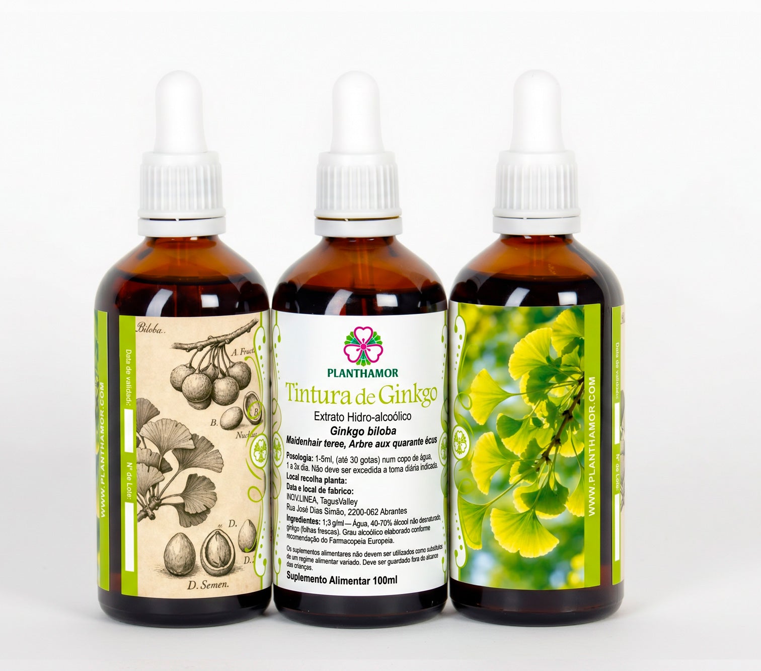 Ginkgo Biloba Tincture 100ml