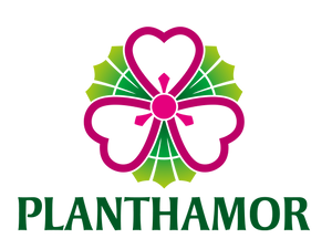 Planthamor