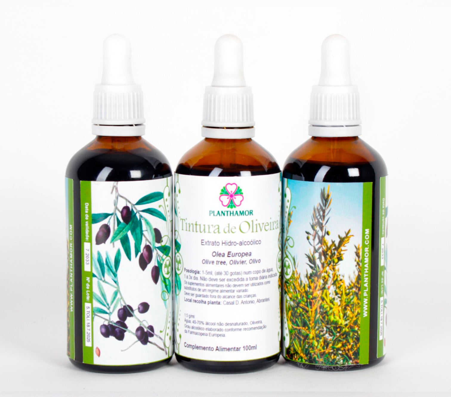 Tintura de Oliveira 100ml