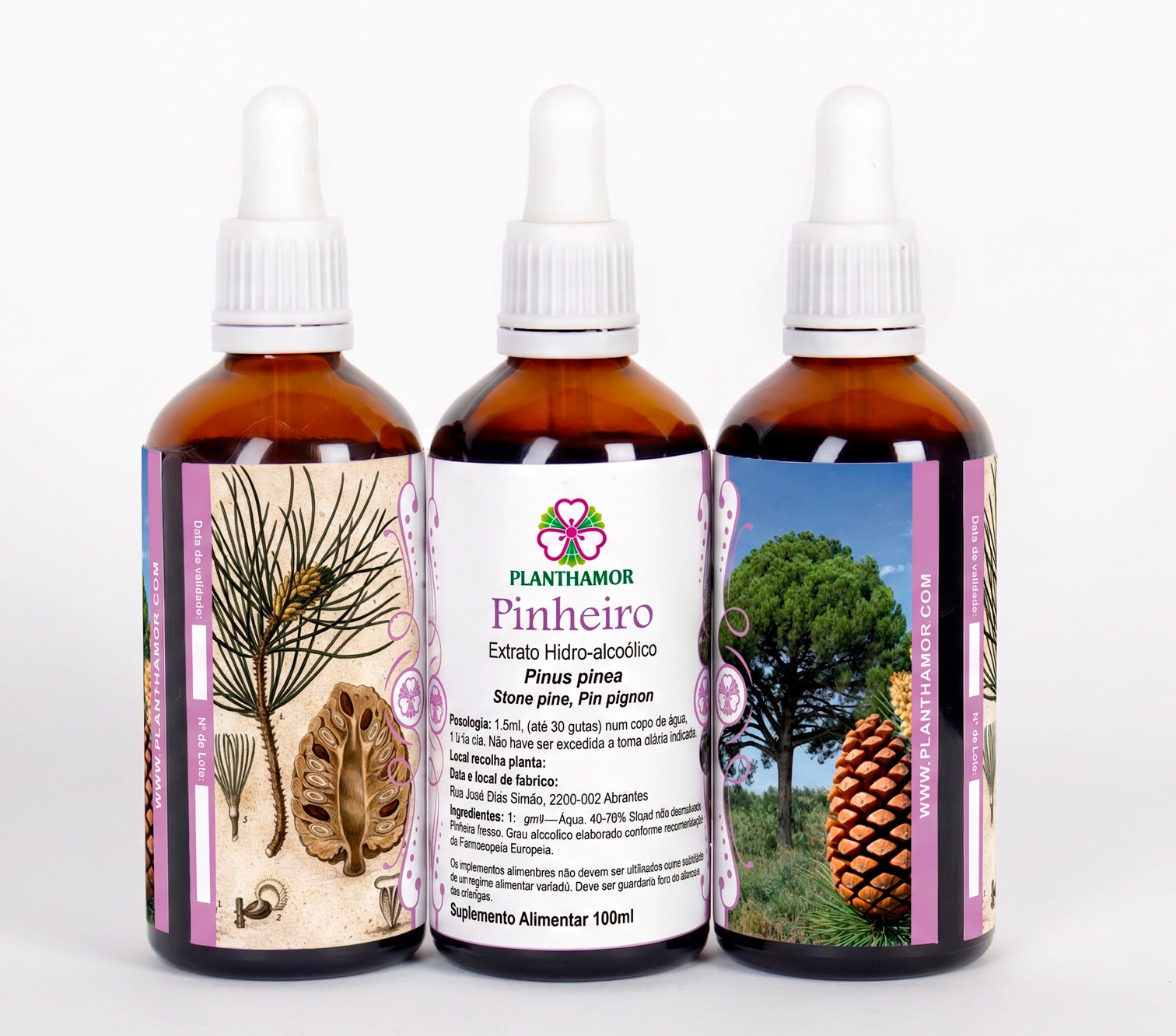 Pine Tree Dye 100ml